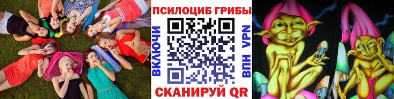 MEGA ТОР магазин продажи Приморск Галлюциногенные грибы Psilocybe